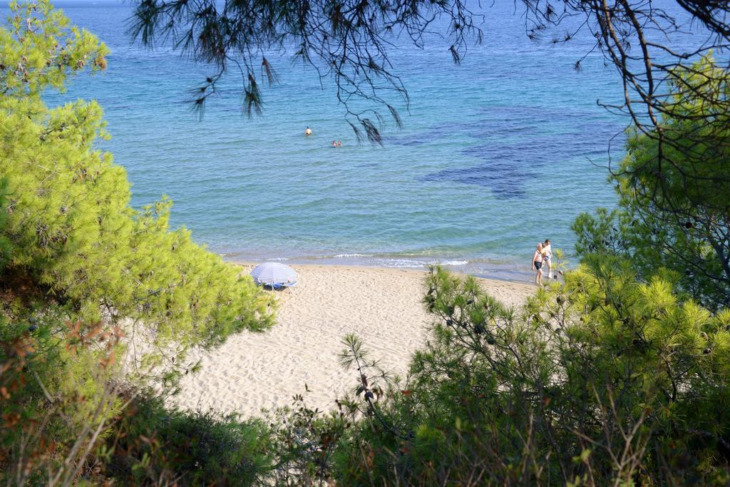 Garlis Apartments Ψακούδια Εξωτερικό φωτογραφία